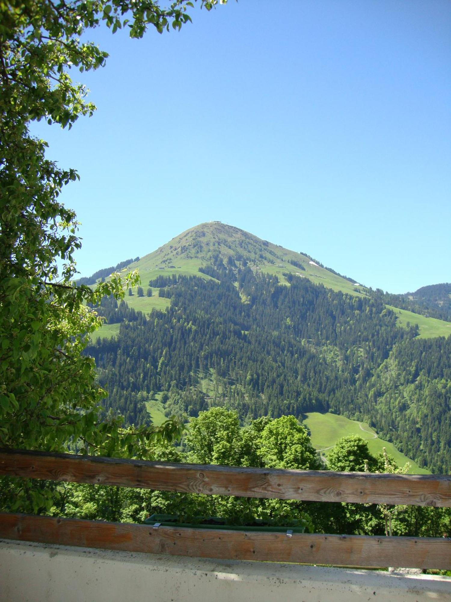 Alpengasthof Gruberhof Söll Εξωτερικό φωτογραφία
